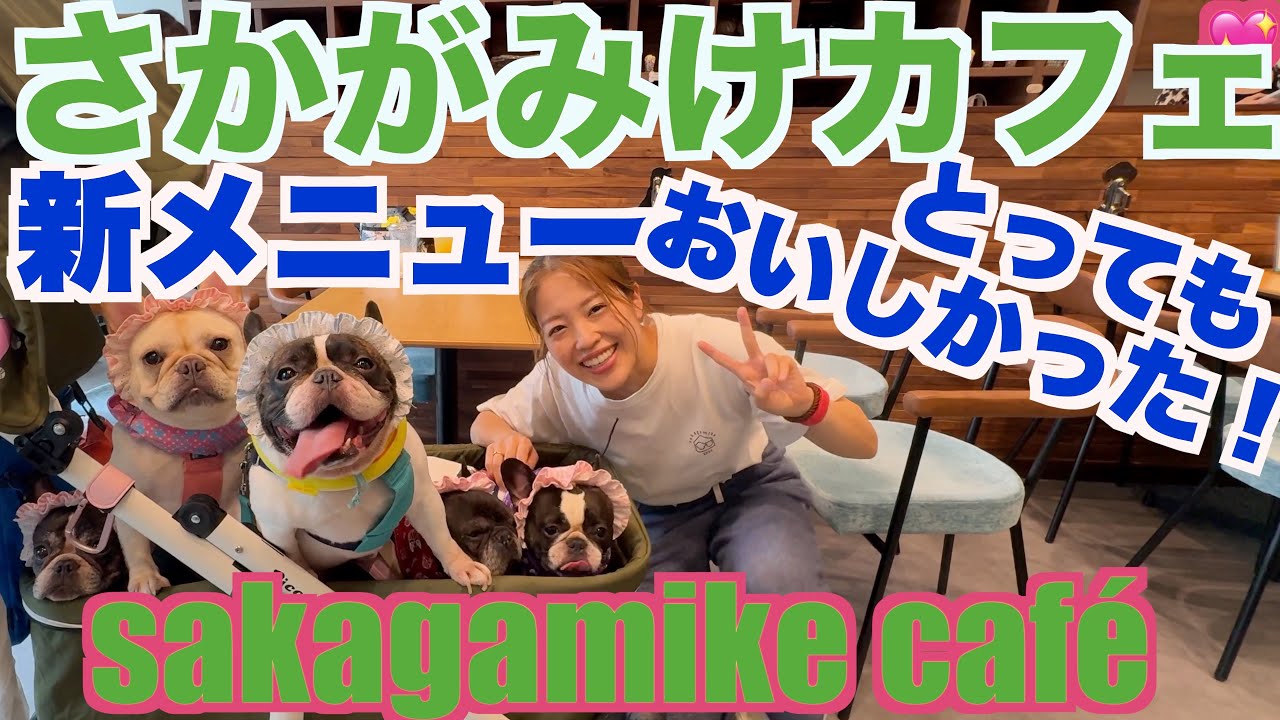 オババと 坂上家カフェ 新メニューを食べる 【 フレンチブルドッグ french_bulldog 】 sakagamike café