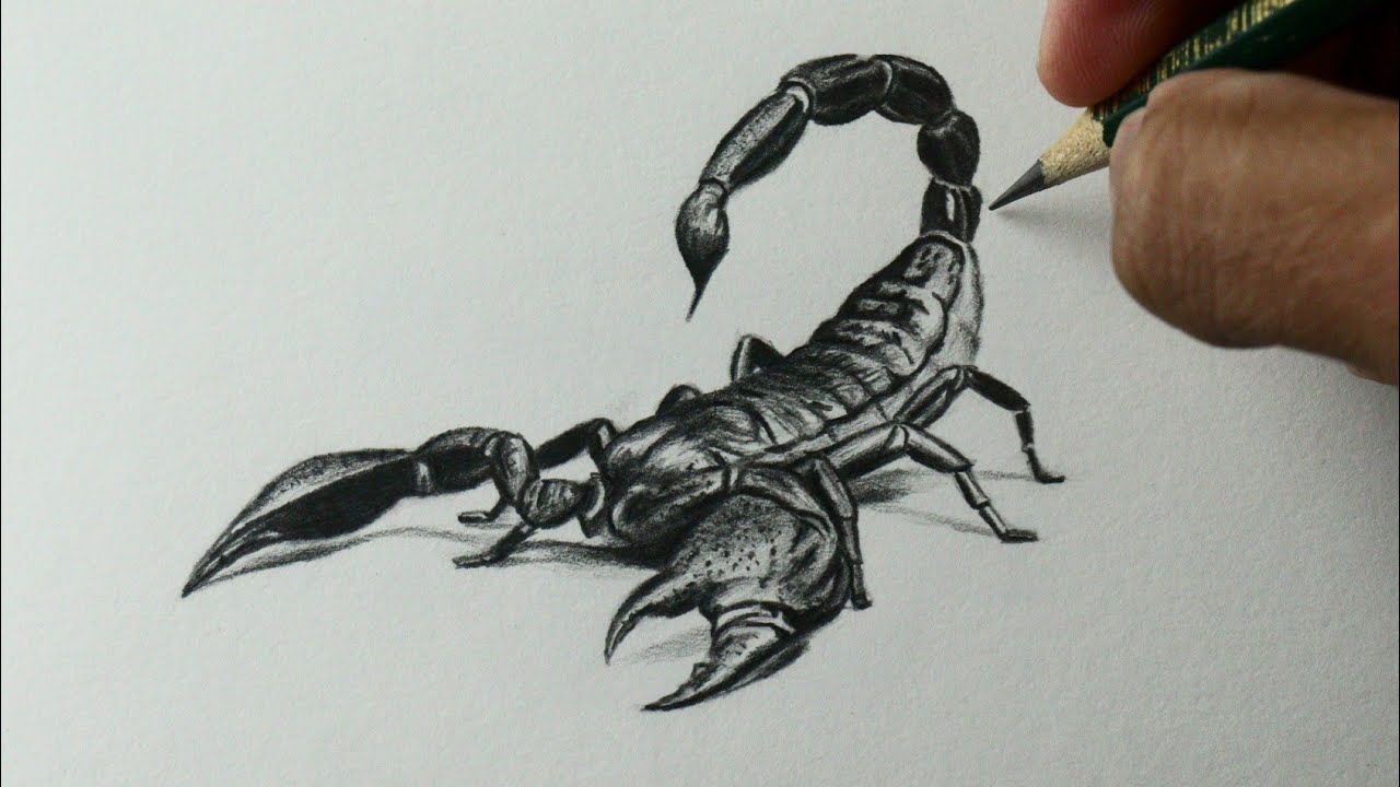 Como desenhar um Escorpião realista PASSO A PASSO narrado