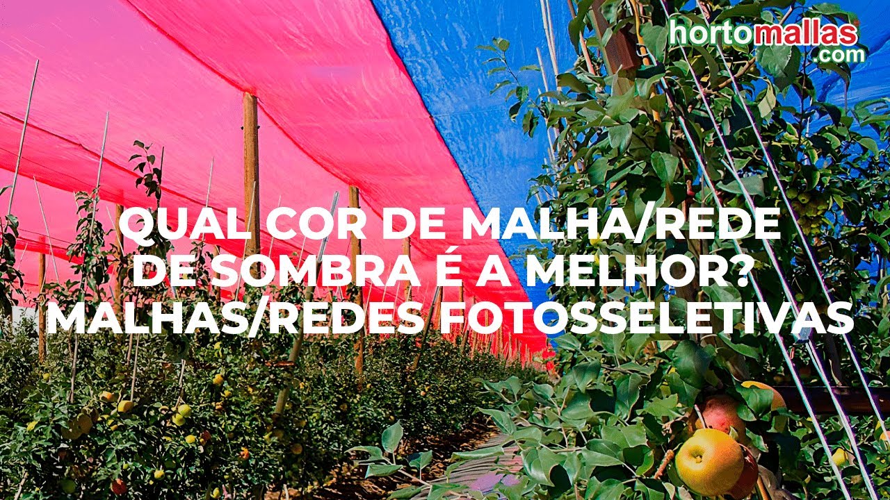 Qual cor de malha/rede de sombra é a melhor? Malhas/redes fotosseletivas