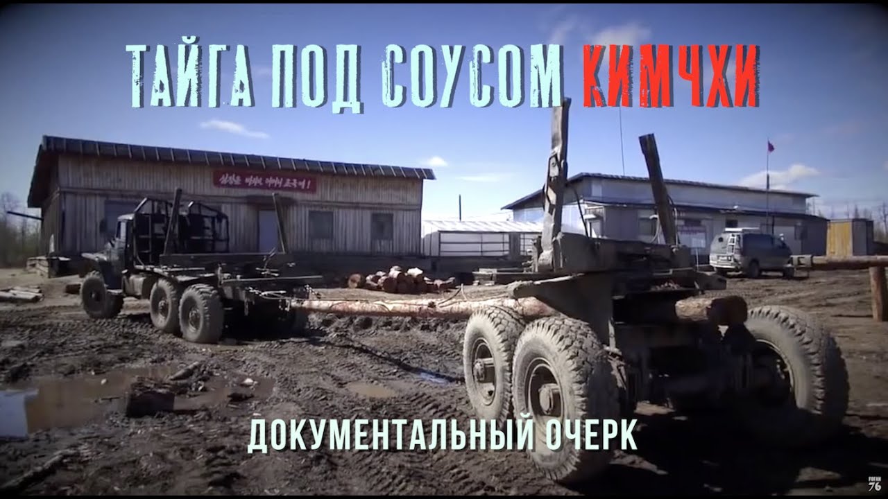 Тайга под соусом кимчхи (документальный очерк) @stanislavfeofanov