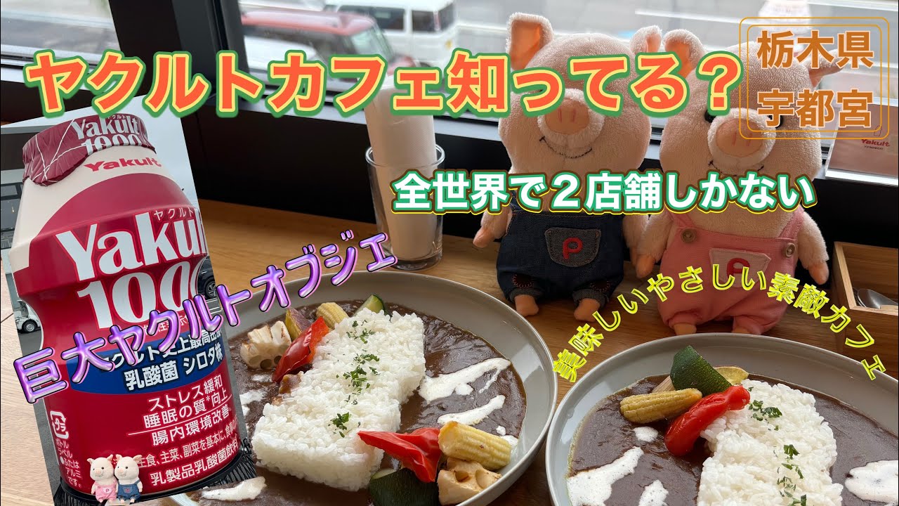 #18 宇都宮ヤクルトカフェ✨巨大ヤクルトオブジェがお出迎え　1日で2万個売れたアイスが食べられるオシャレカフェ
