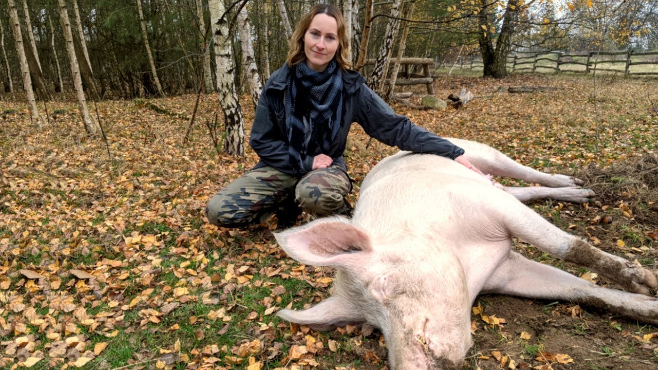Saugefährlich: Arbeitstag im LAND DER TIERE