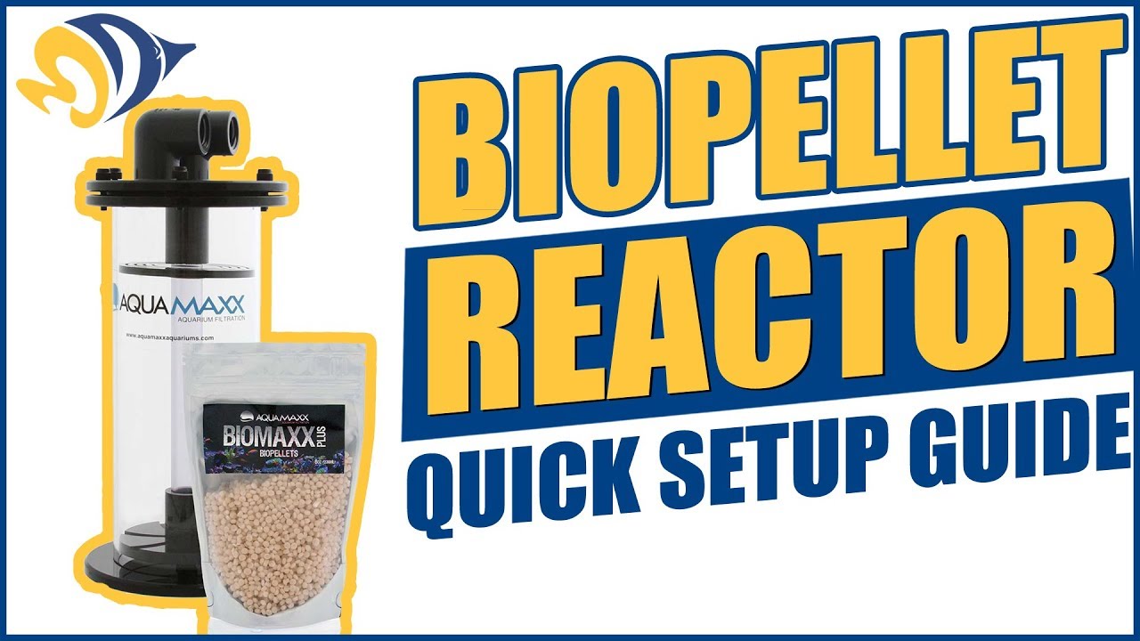 BioPellet Reactor Quick Setup Guide for Saltwater Aquariums