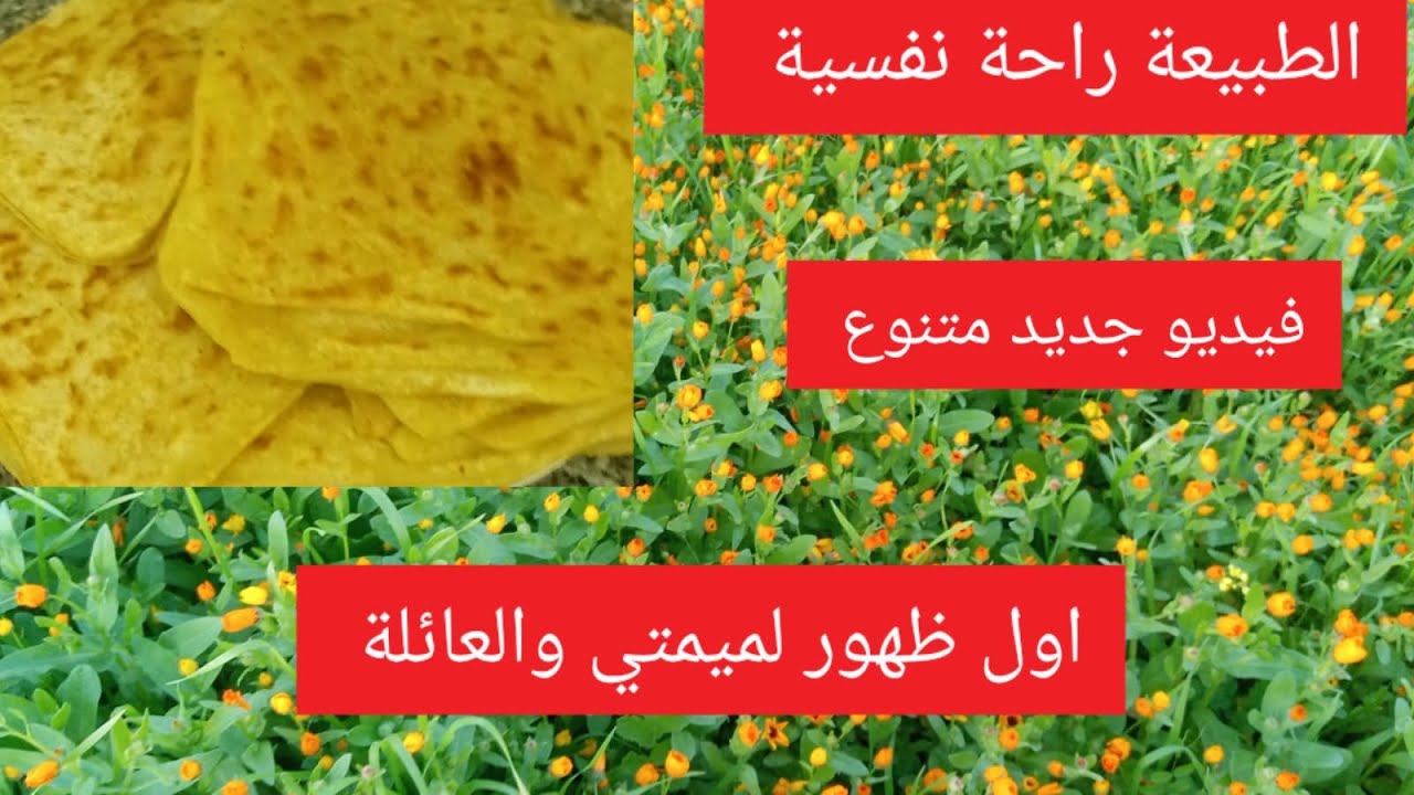 نهار كامل في الدوار شوفو كيفاش كنعيشو في البادية المغربية