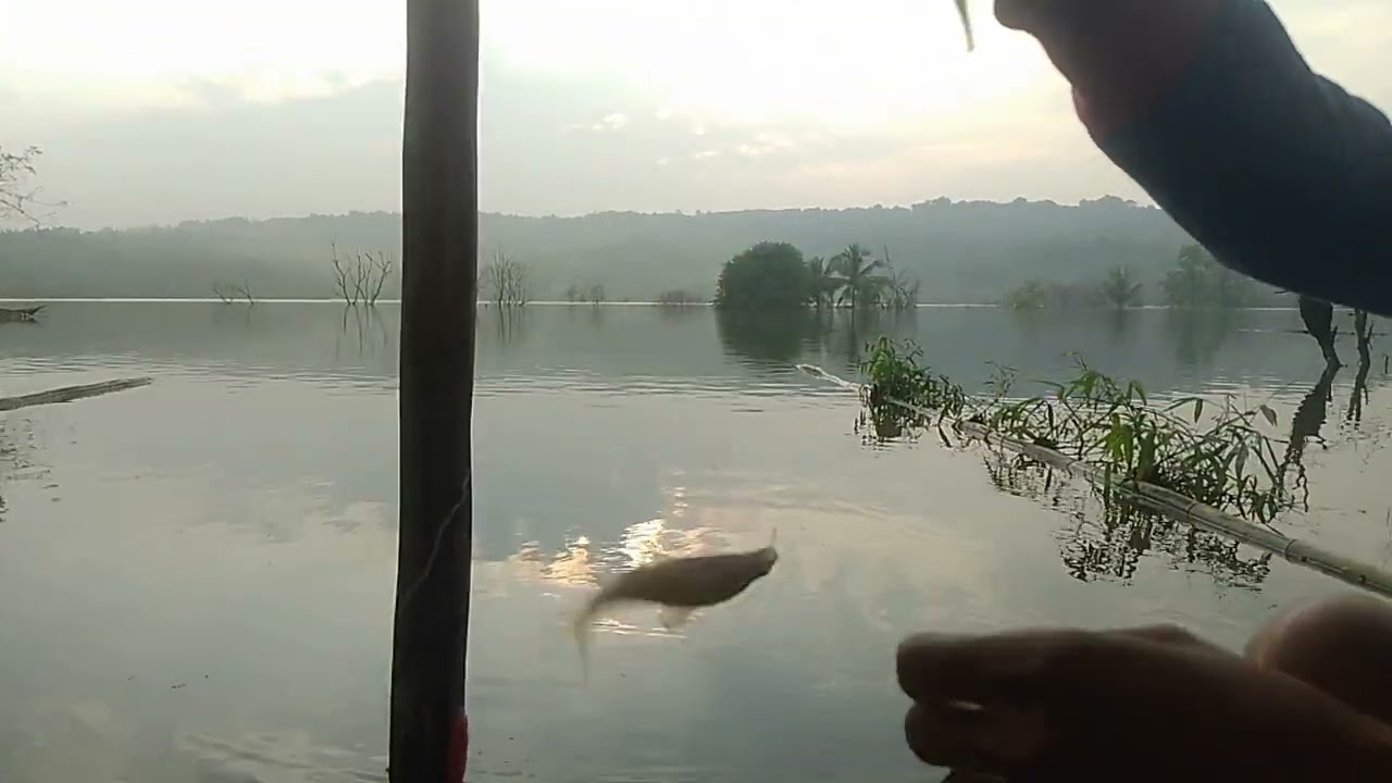 Mancing pagi hari di bendungan, yg dikelilingi pemandangan yg sangat bagus seperti di negri dongeng