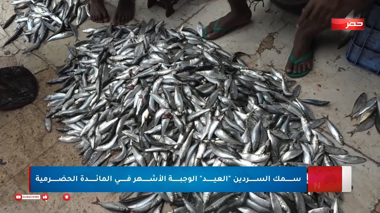 موسم سمك السردين 