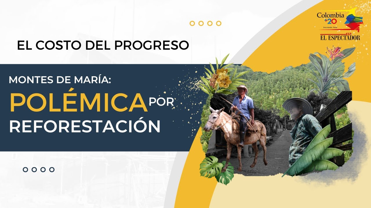 Bonos de carbono: un negocio verde con disputa de tierras | Colombia +20