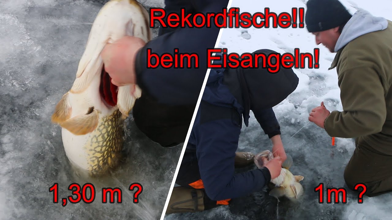 Rekordfische beim Eisangeln ! Hecht und Zander an der Müritz! Traumsession! Teil 2