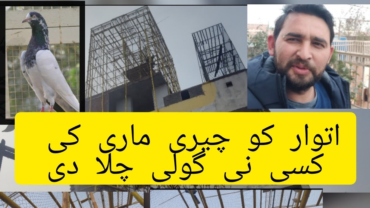دوستو چیری ماری والے دن انے والے