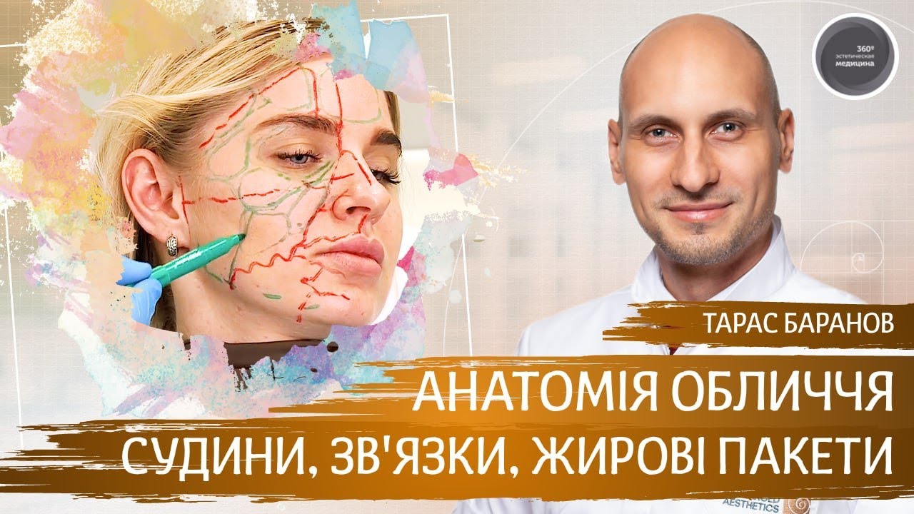 Анатомія обличчя для косметологів ► Судини, З'вязки, Жирові Пакети