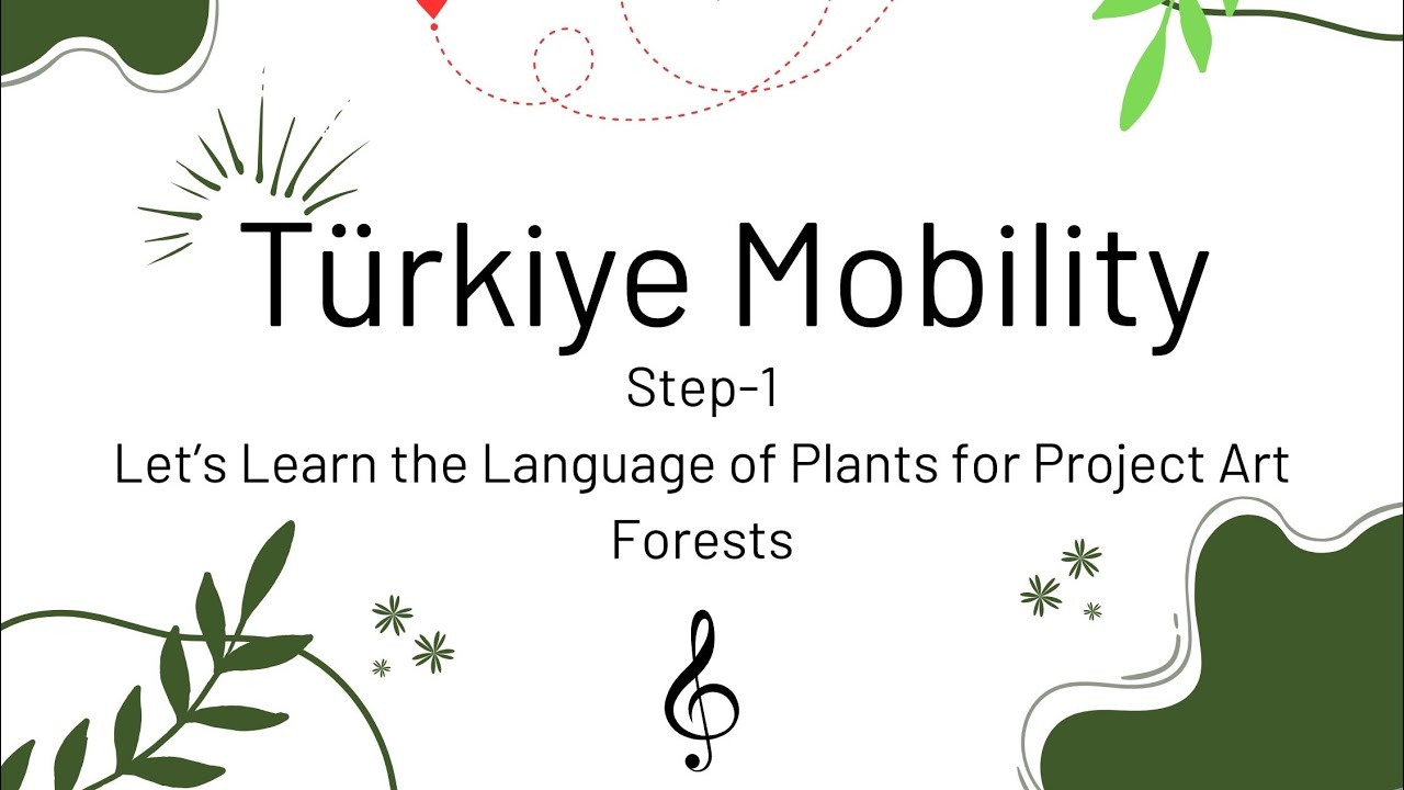 Türkiye Mobility Erasmus+ Project “LET’s LEAVE a MARK on the NATURE: WORLD MUSIC for PLANTASIA”
