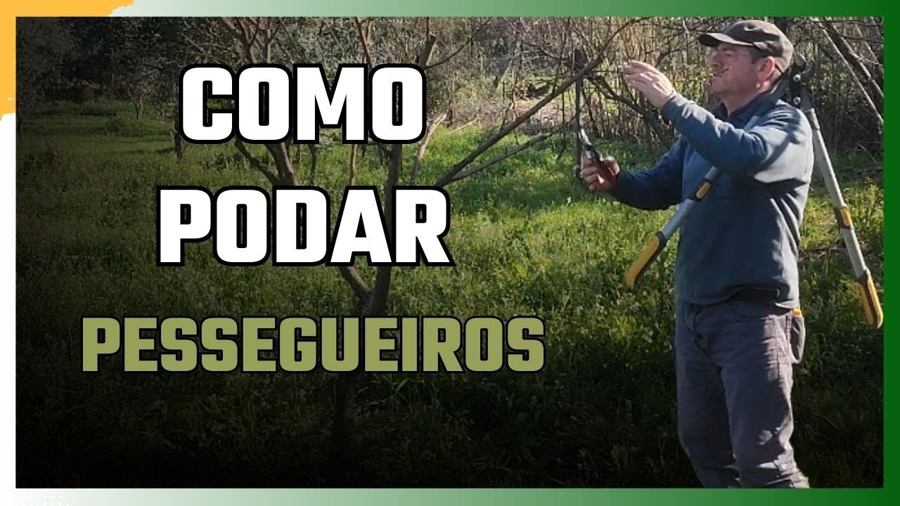 Como Podar um Pessegueiro Corretamente
