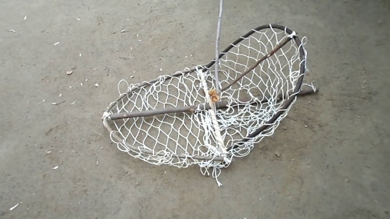 How To Make A Bird Trap | Homemade Bird Trap |فخ الطيور | فخ الحمام | cara membuat jebakan burung