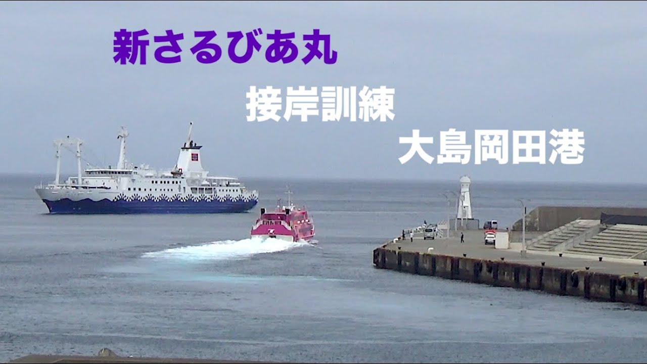 新さるびあ丸　接岸訓練　大島岡田港