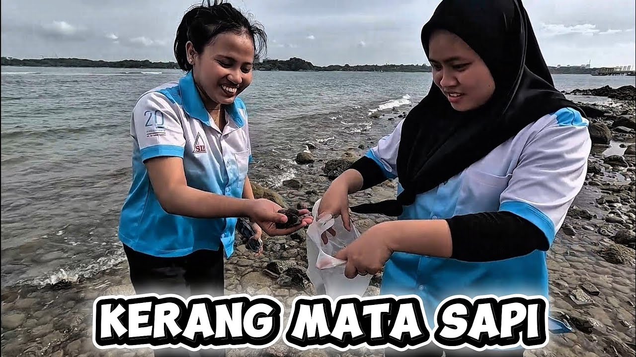 BERPETUALANG MENCARI KERANG DI LAUT PULAU PUTRI BERSAMA TEMAN
