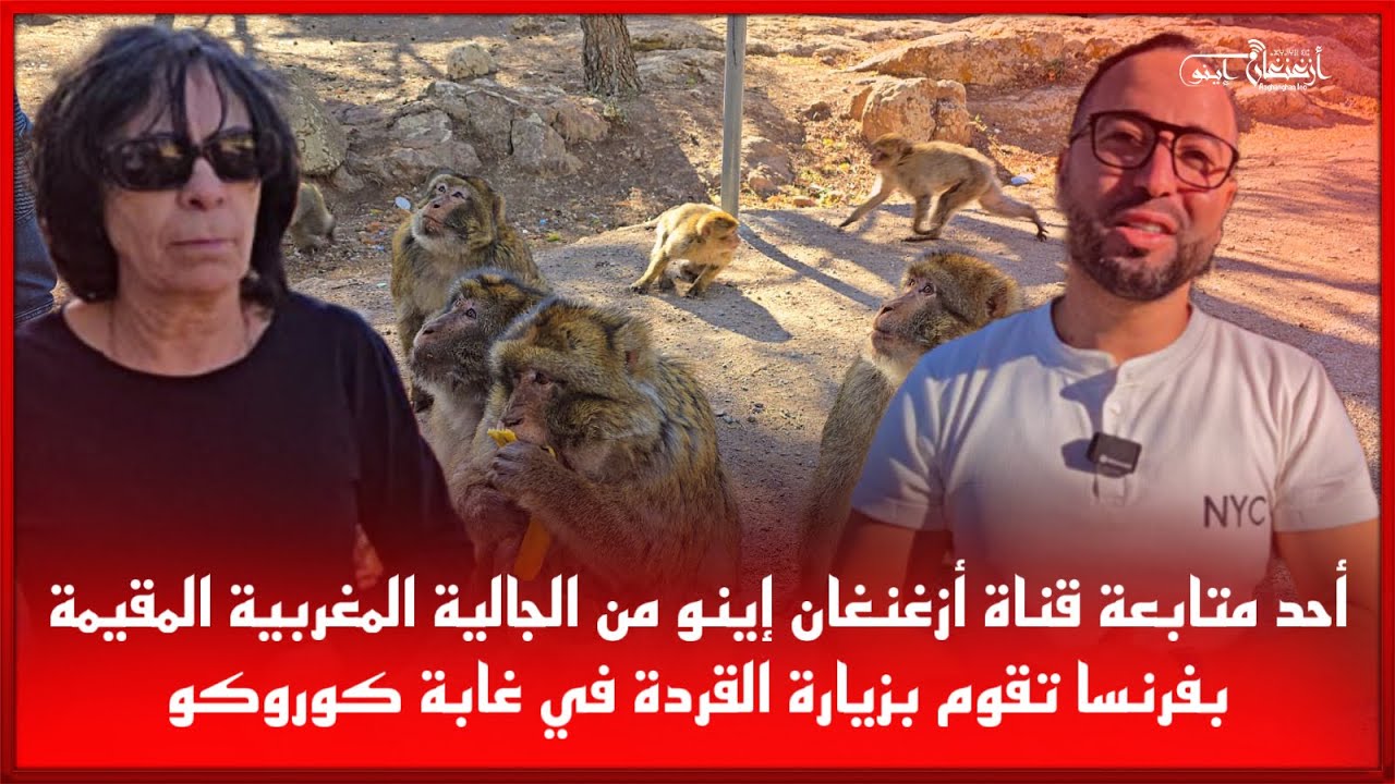 🔴أحد متابعة قناة أزغنغان إينو من الجالية المغربية المقيمة بفرنسا تقوم بزيارة القردة في غابة كوروكو