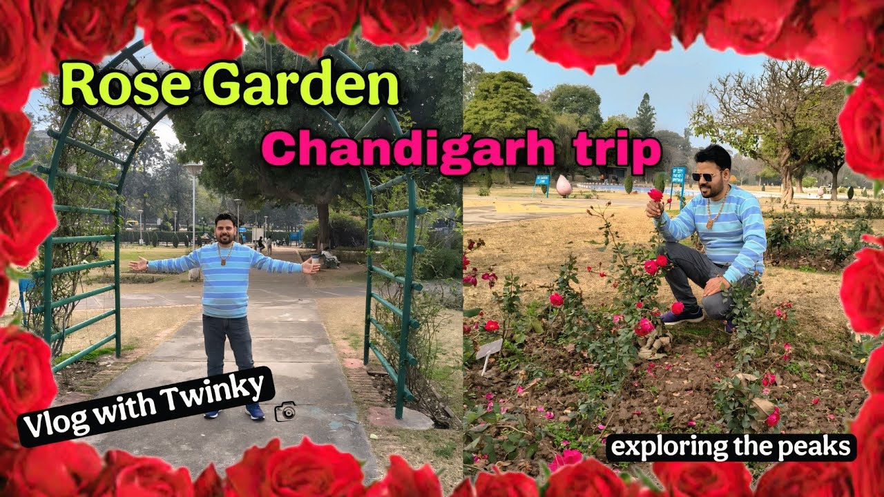 Exploring Asia's Largest Rose Garden || Chandigarh trip || vlog with twinky ||