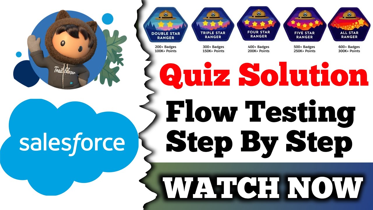 Flow Testing Step by Step |  Salesforce Trailhead | Make Sure Your Flow Works