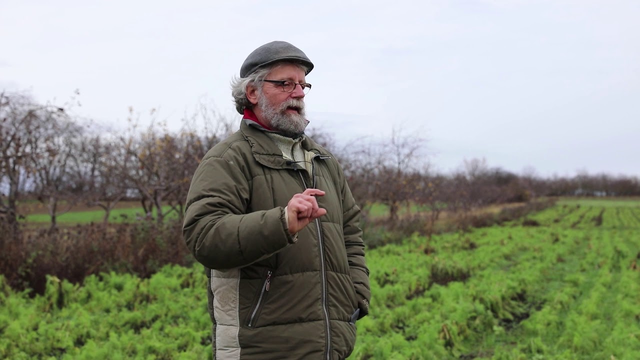Hans-Peter Frucht erz&auml;hlt, wie er die Regenerative Landwirtschaft umsetzt