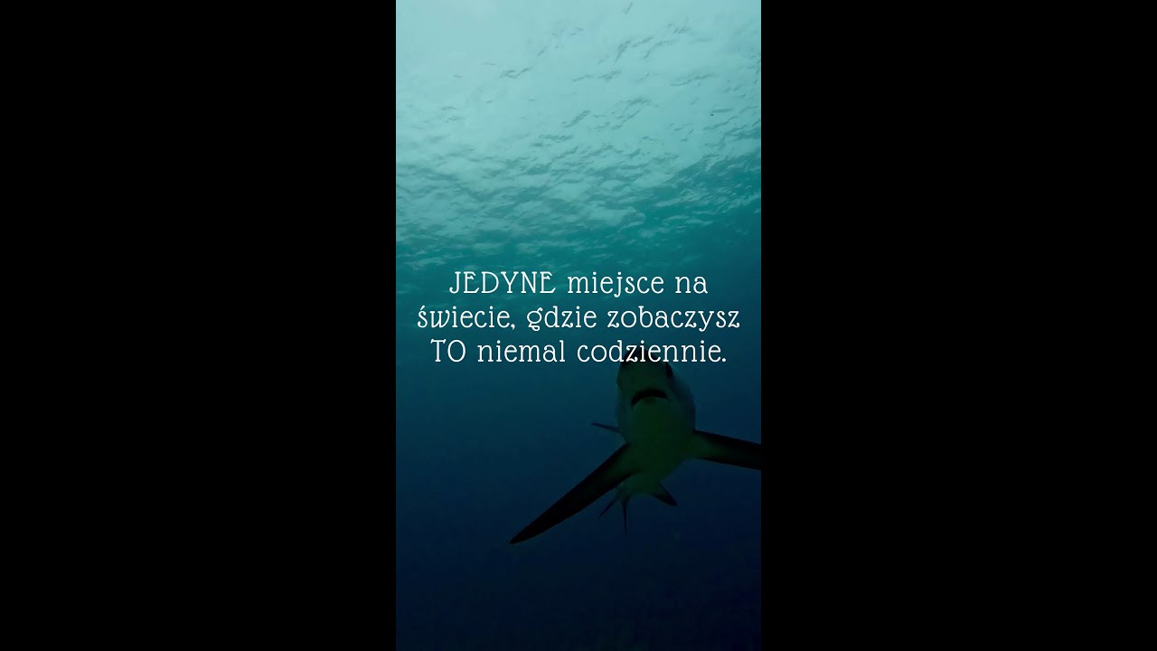 Dlaczego rekiny kosogony spotyka się na Malapascua?