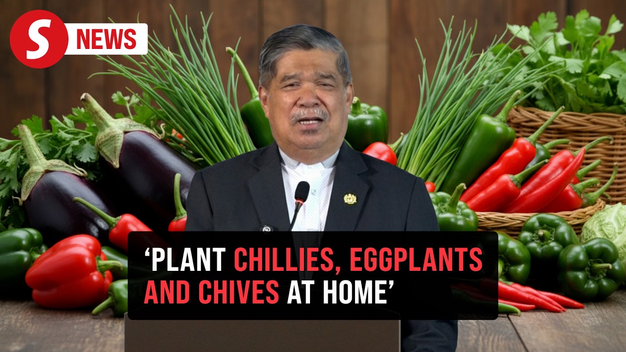 Grow own veggies, Mat Sabu tells ministry staff in landed properties