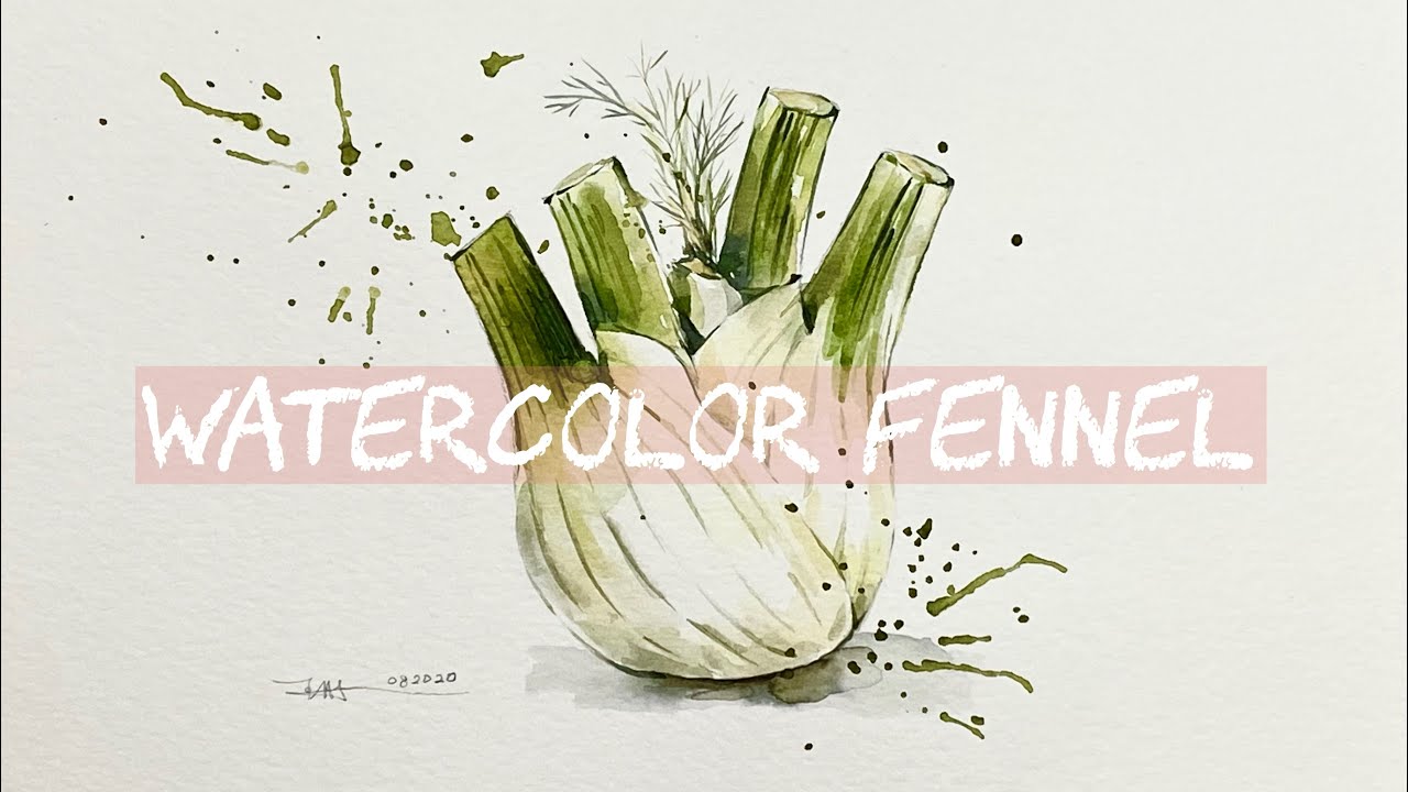 Watercolor Fennel | Vegetable