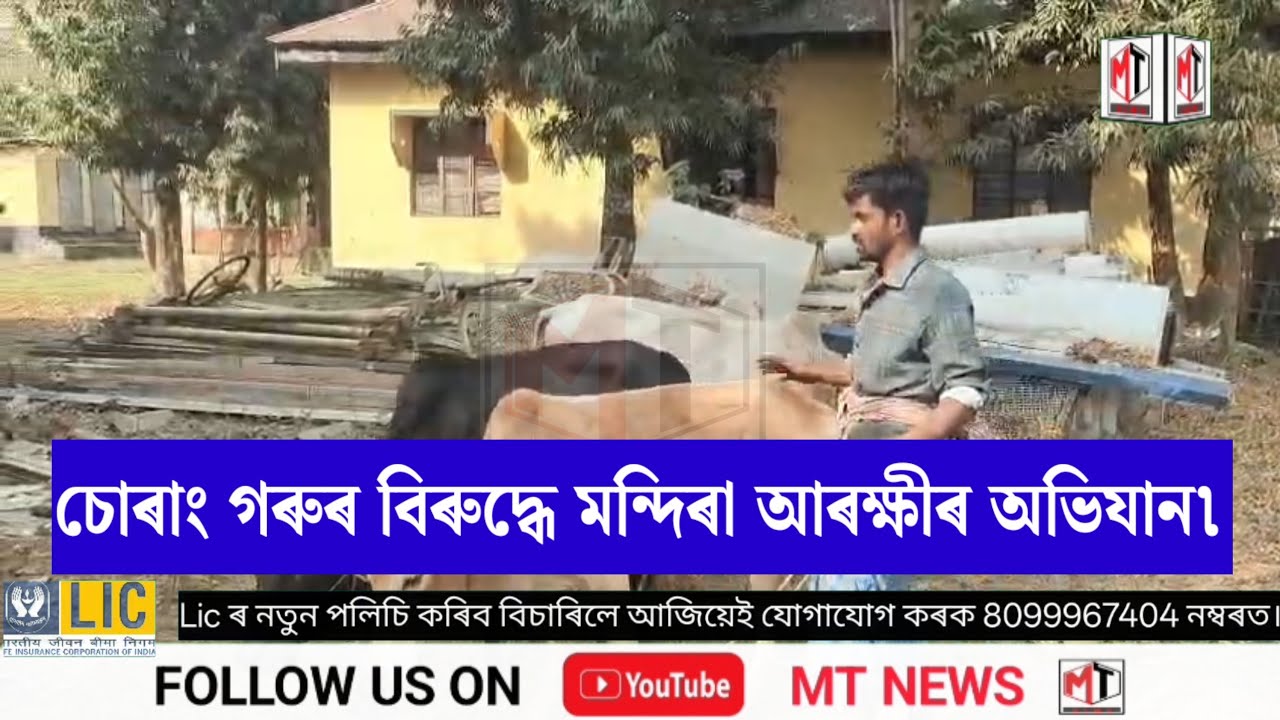 চোৰাং গৰুৰ বিৰুদ্ধে মন্দিৰা আৰক্ষীৰ অভিযান৷
