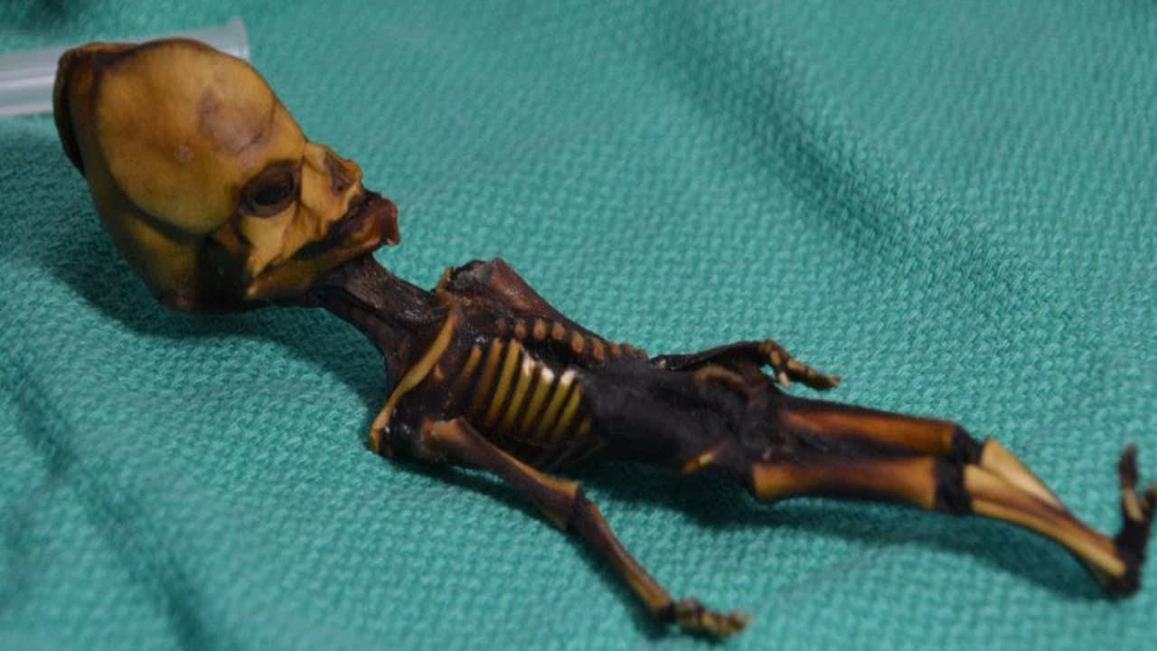'Alien' Atacama skeleton surrenders its genetic secrets