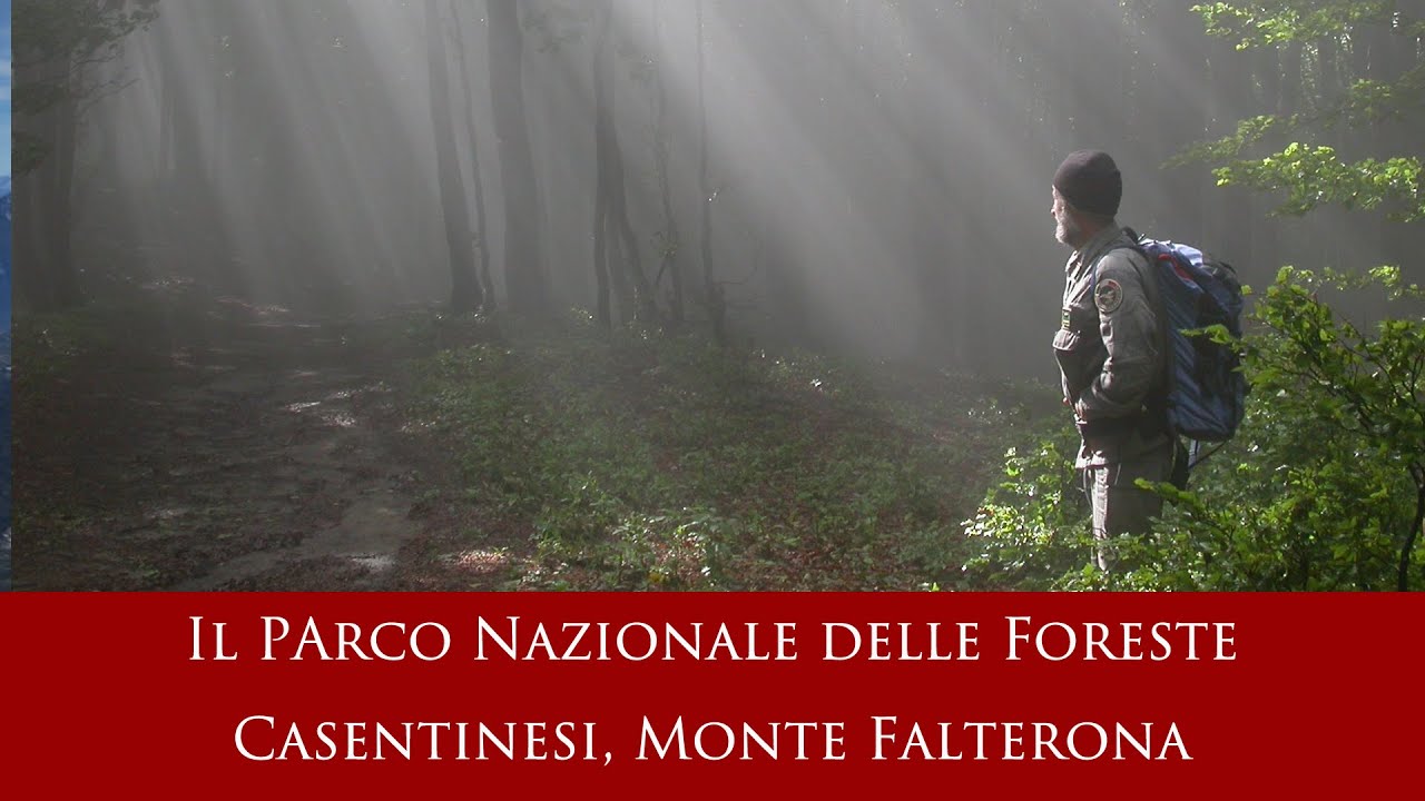 Il Parco Nazionale delle @ForesteCasentinesi,  Monte Falterona