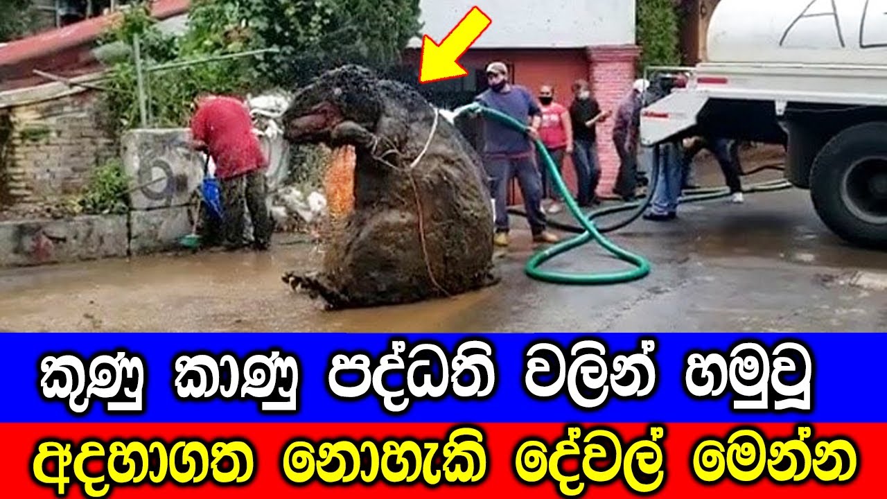 කුණු කාණු පද්ධති වලින් හමුවූ හිතාගන්න බැරි දේවල් මෙන්න. | 07 Weird Things Found In The Sewers.
