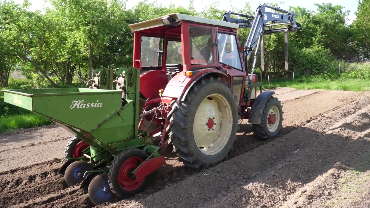 IHC mit Hassia Kartoffeln setzen 2018 (Reihe 3+4)