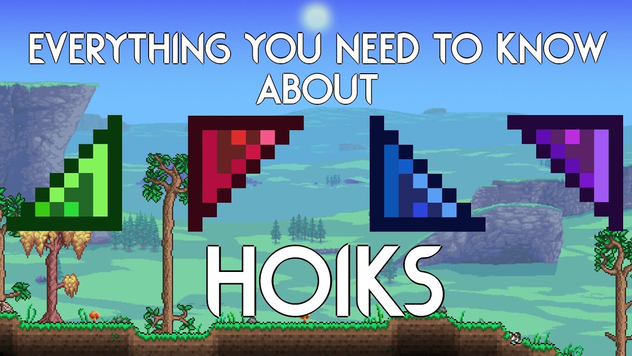 The Comprehensive Guide to Hoiks