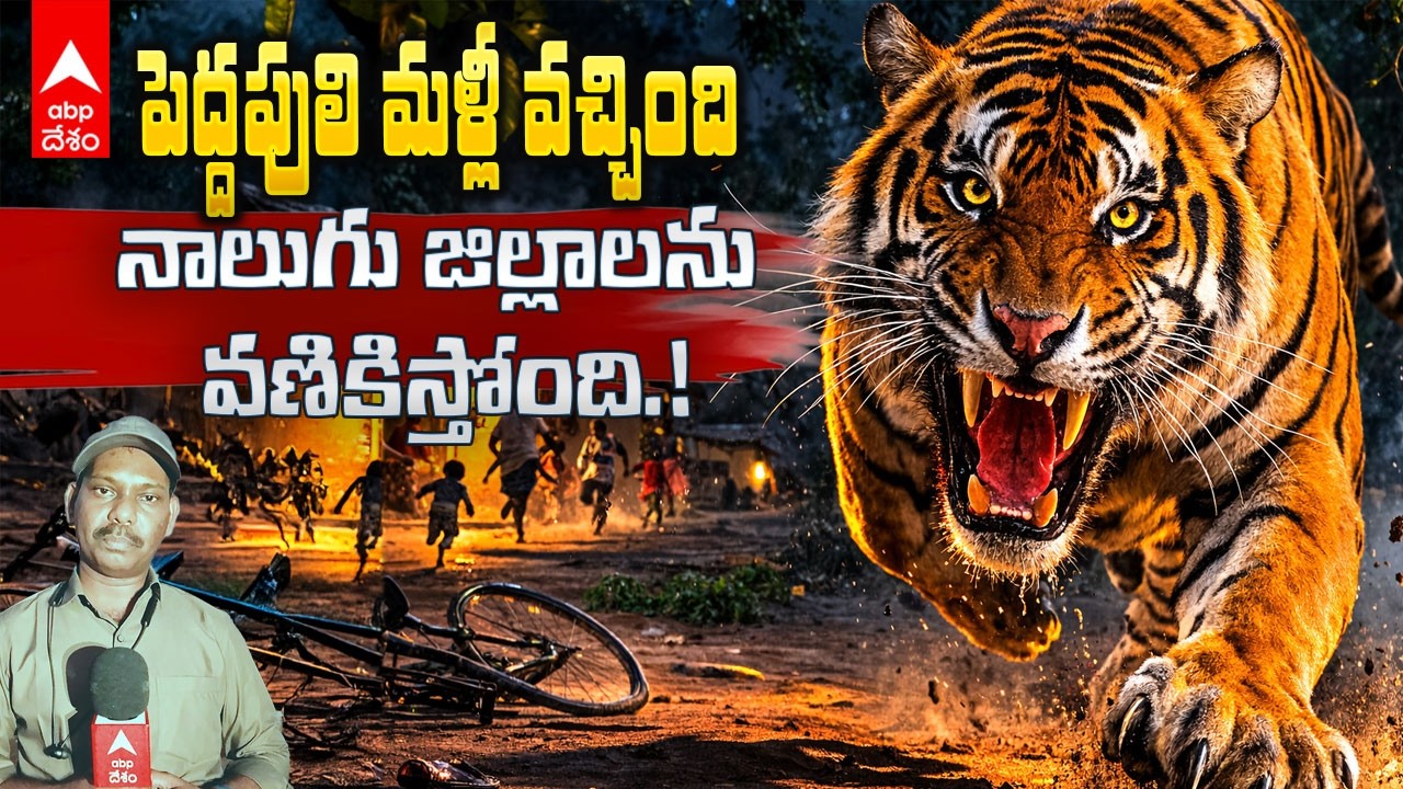 Tiger Fear at Godavari Districts | పోలవరం, తూర్పుగోదావరి జిల్లాల్లో పెద్దపులి టెన్షన్ | ABP Desam