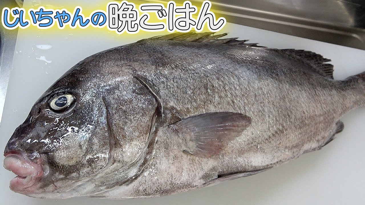 【爺ちゃんの晩御飯】4.5kgのコショウダイを捌いてお料理を３品作ったよ！！