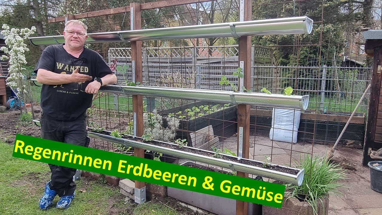 So baut Ihr Regenrinnen Erdbeeren & Gemüse