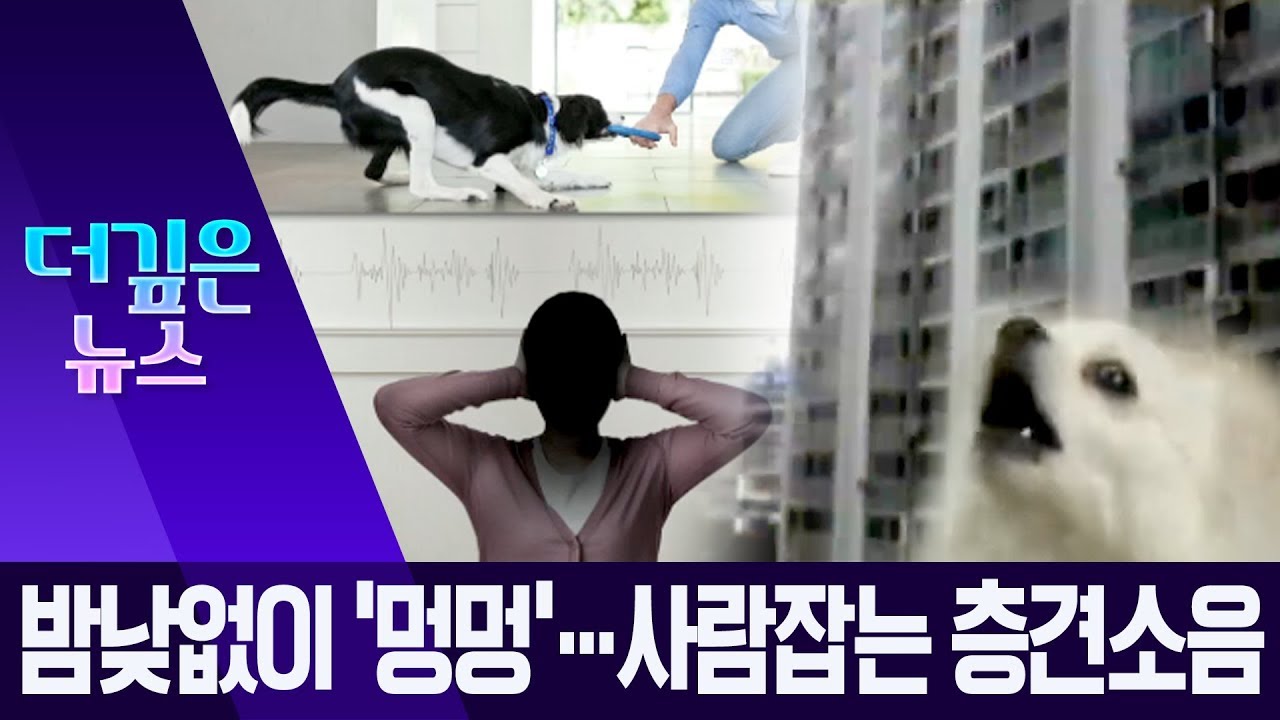 [더깊은뉴스]밤낮없이 ‘멍멍’…사람잡는 ‘층견소음’ | 뉴스A