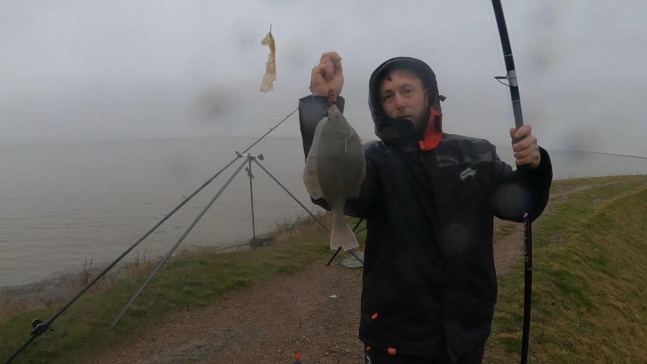 Sea fishing for flounders on the river Thames January 2026 