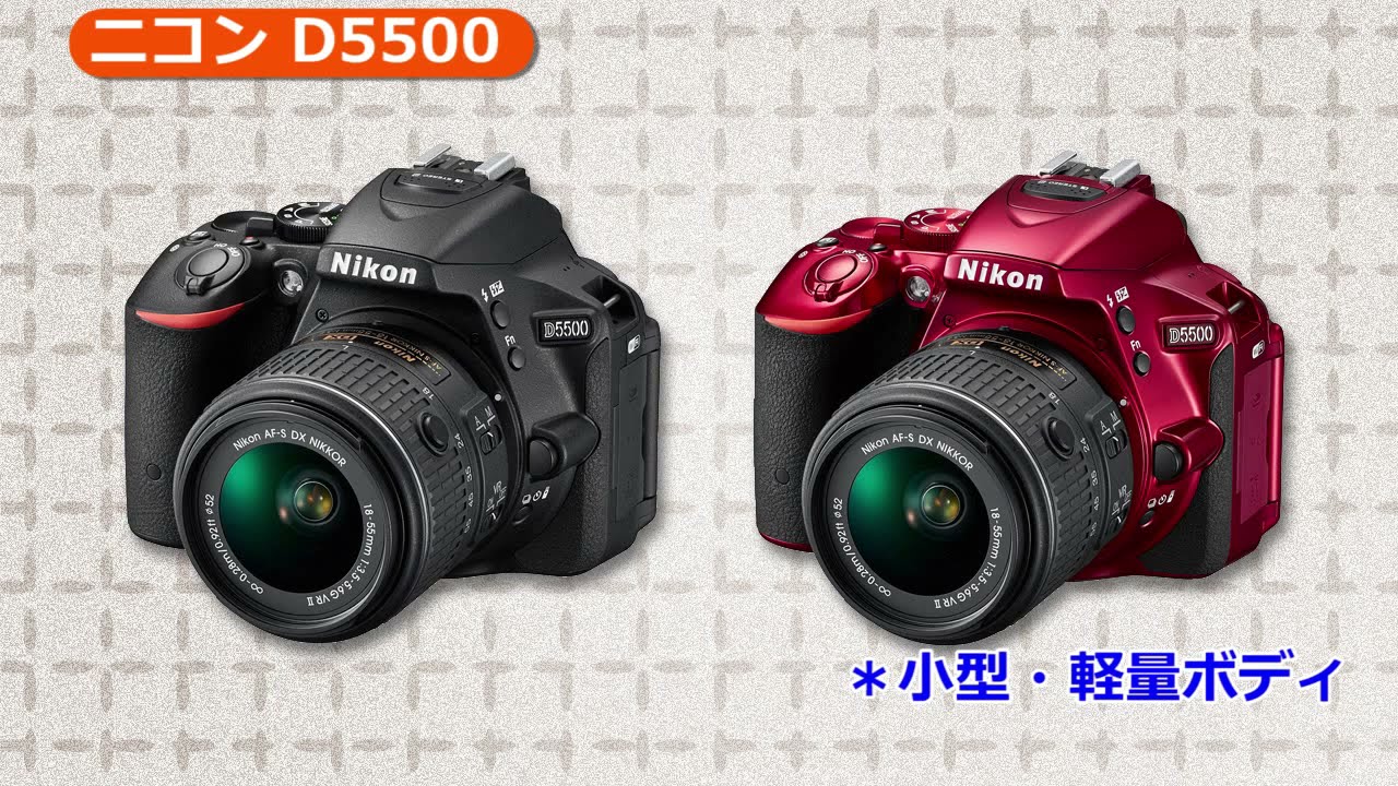 ニコン D5500 （カメラのキタムラ動画_Nikon）