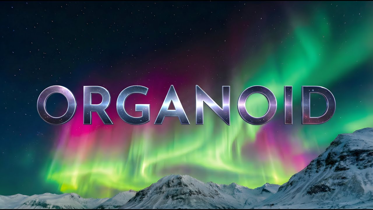 ORGANOID | 2-Hour Psychill & Chillgressive Journey | Spot Of Balance