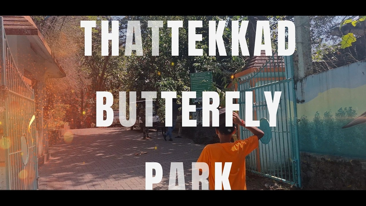 Butterfly Garden | Thattekkad | Ernakulam