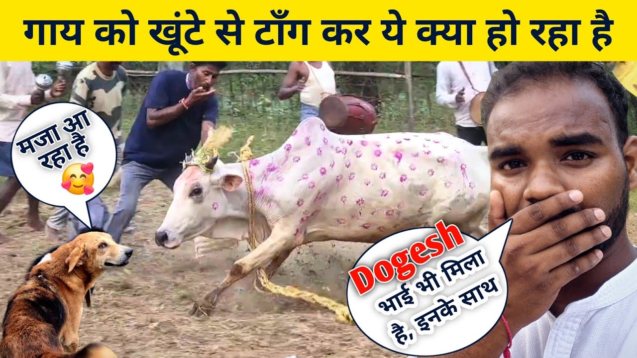 Barad Khuta झारखण्ड का ये अजूबा पर्व | Tribal Village festival of Jharkhand 