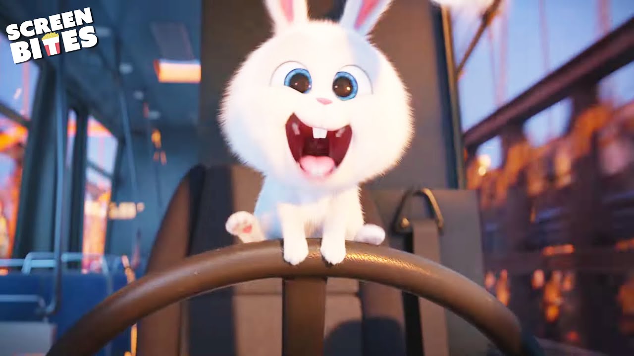Car Chase Rescue | The Secret Life Of Pets (2016) | Screen Bites