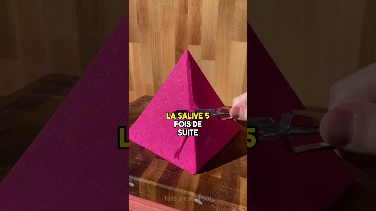 Faits al&eacute;atoires, random facts #facts #aleatoire #faits #shorts #short
