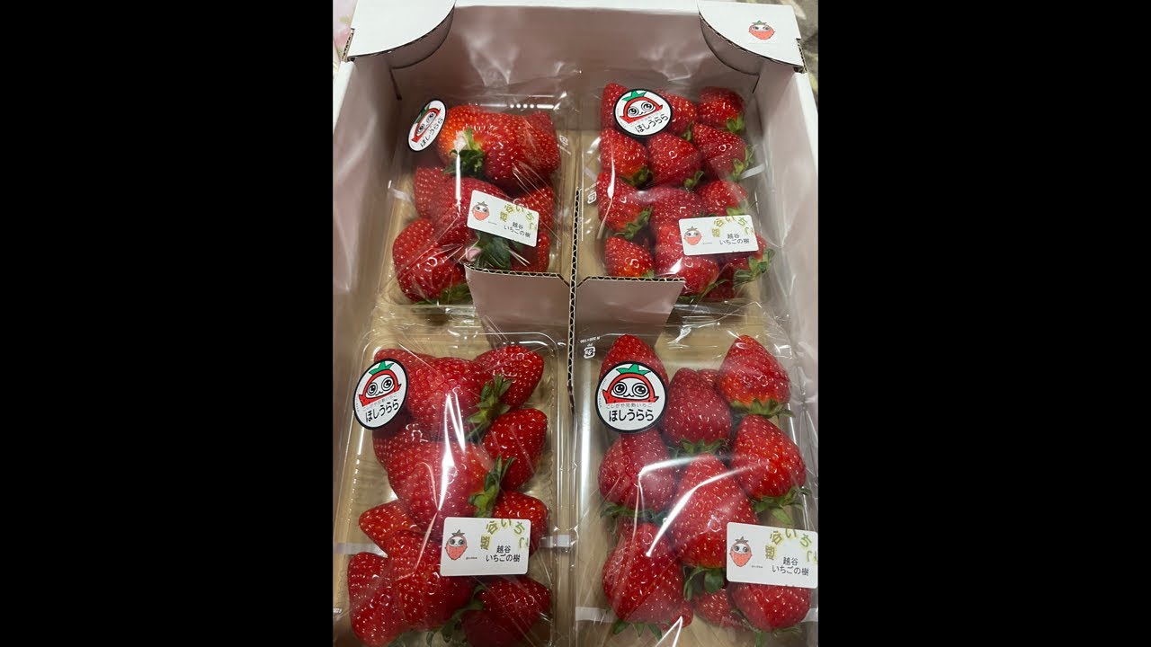 กินสตอเบอรี่ที่ซื้อกลับบ้าน#มาเรื่องไปสวนกัน🍓