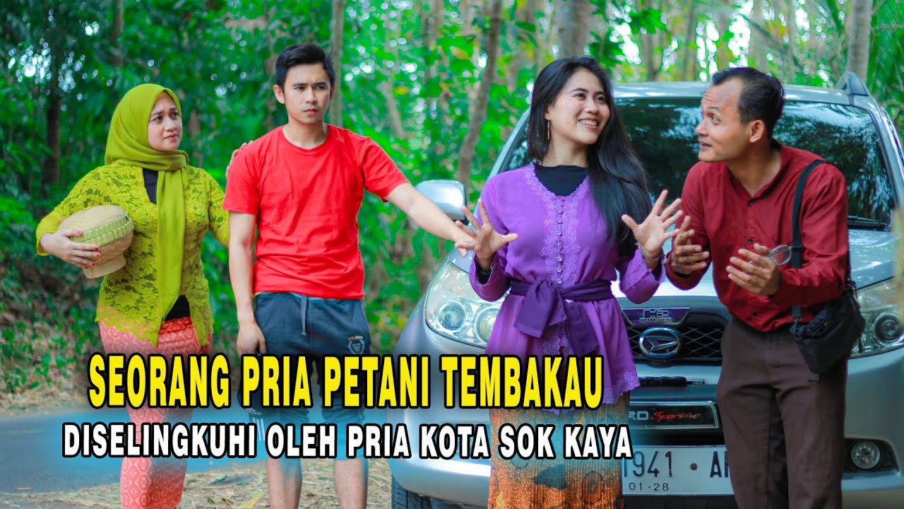 BOS TAJIR DARI KOTA NYAMAR JADI PETANI TEMBAKAU,, DIHIANATI PACARNYA DENGAN PRIA KOTA YG TERNYATA