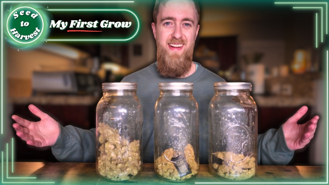 Seed to Harvest: What My First Grow Actually Looked Like