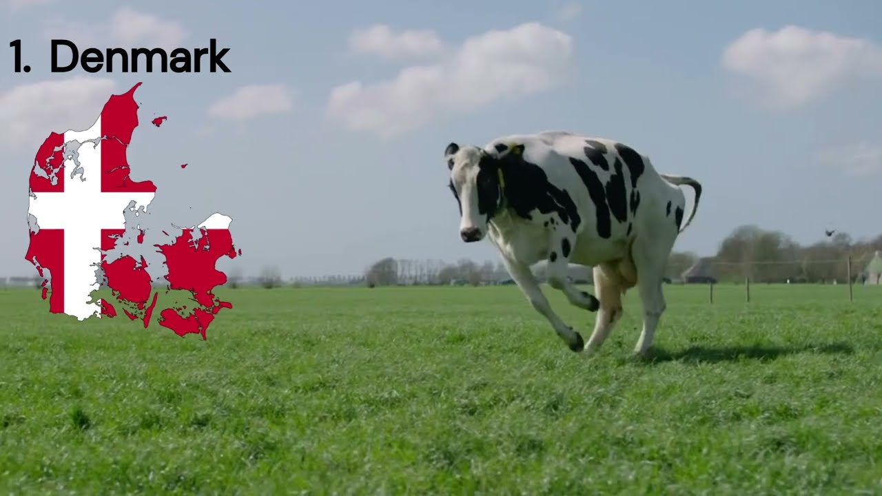 Livestock Traineeship Program in Europe for Kenyans