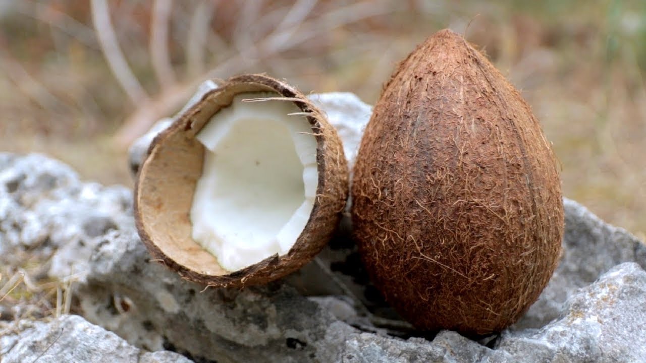 #4 - Cocco - Fuoco Cibo Acqua - Sopravvivenza in MARE e su ISOLA DESERTA