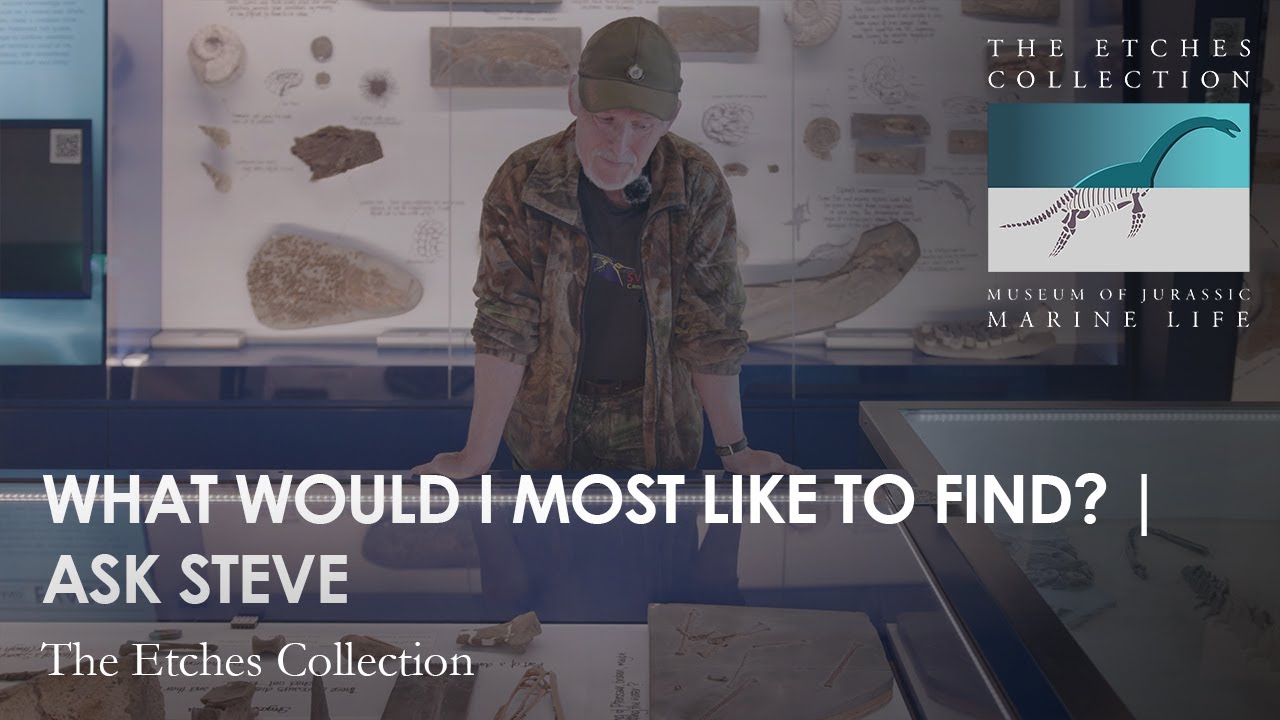 WHAT WOULD I MOST LIKE TO FIND? ASK STEVE