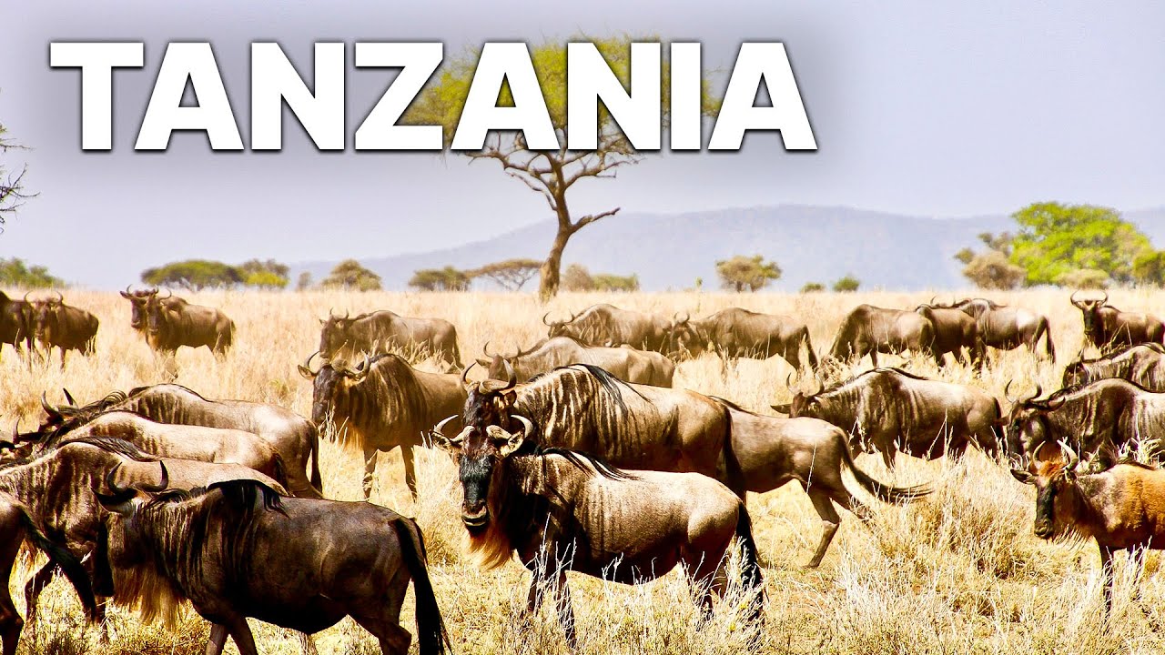 Tanzania - Endless Source of Wonder | Full Documentary